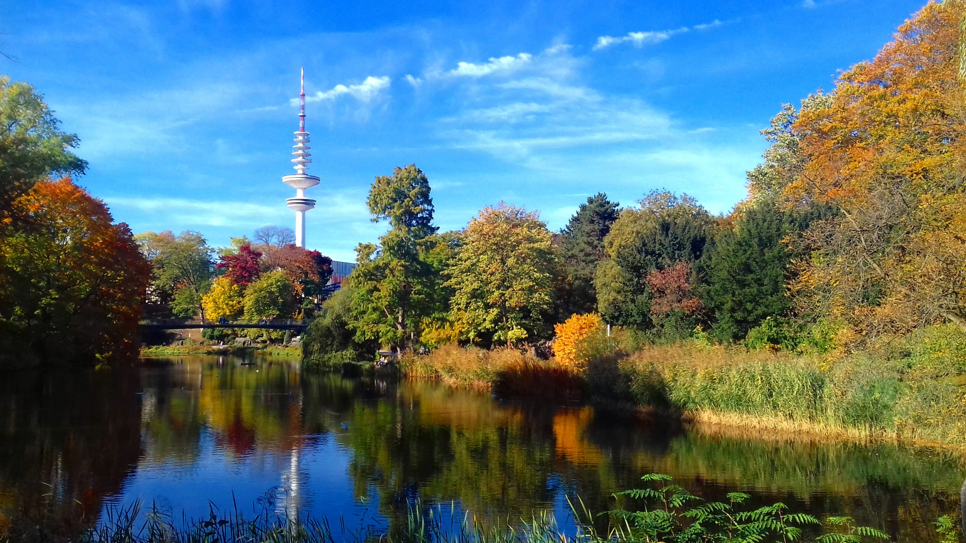 Sommer im Herbst – Hamburg – descubrimomento